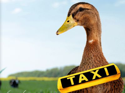 Gänsetaxi
