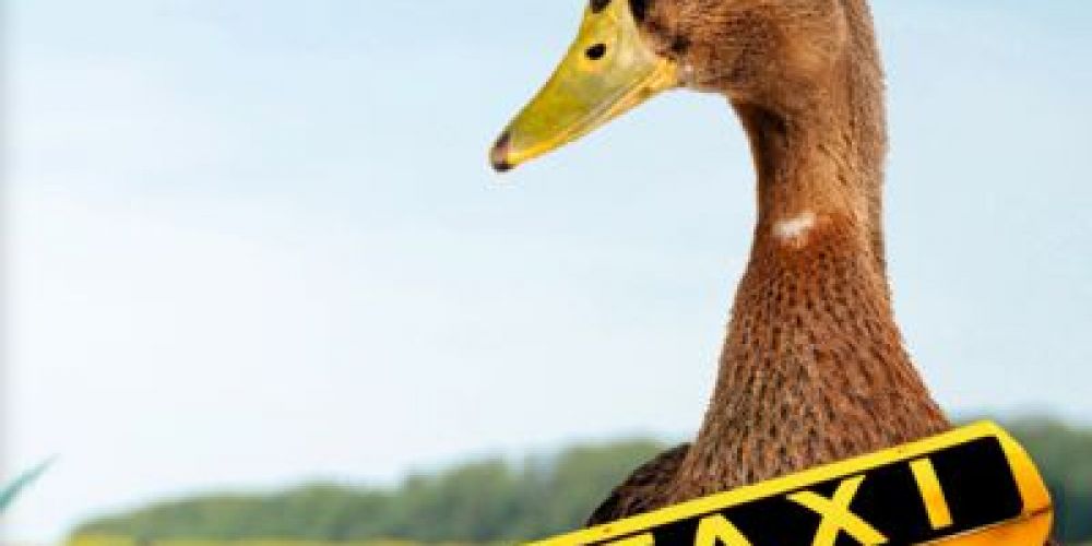 Gänse-& Enten-Taxi